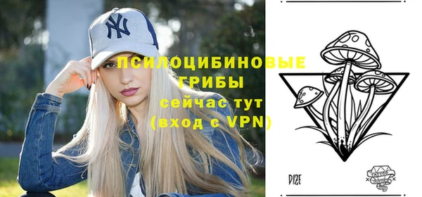 дживик Нягань
