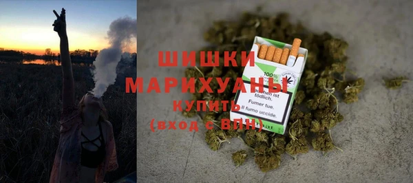 ПСИЛОЦИБИНОВЫЕ ГРИБЫ Грязовец